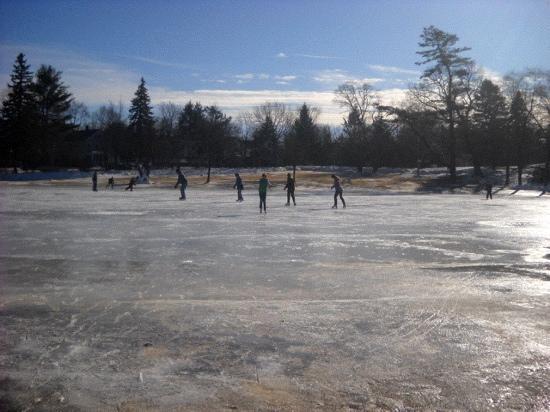 white park ice skating