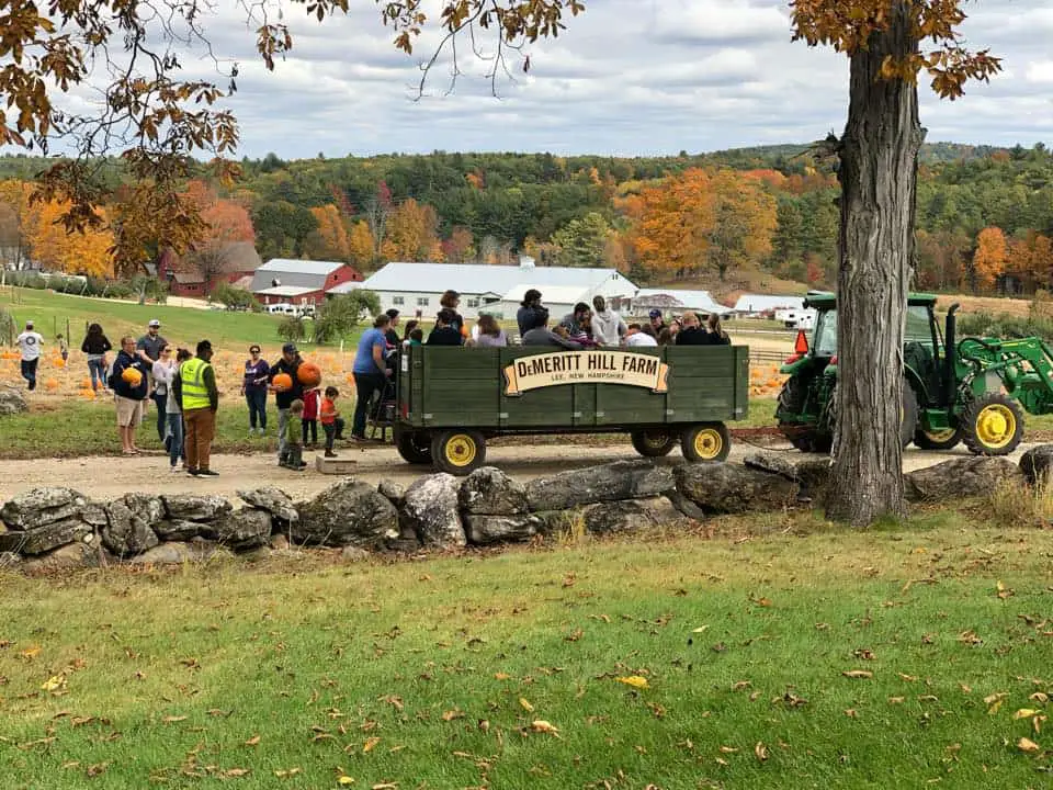 DeMeritt Hill Farm NH