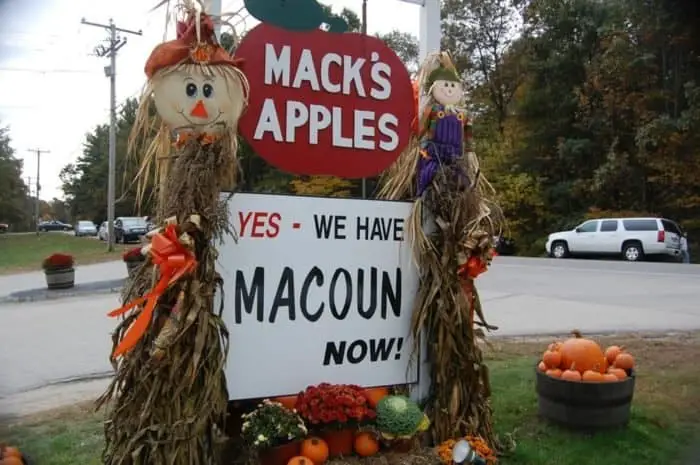 Mack’s Apples