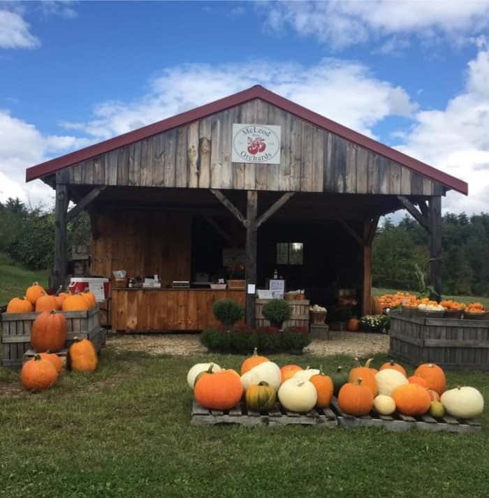 McLeod Orchards NH