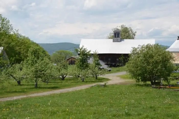 Poverty Lane Orchards