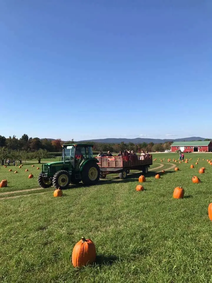 Washburn's Windy Hill Orchard NH