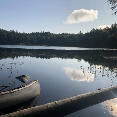 A Beautiful Morning Hike To Butterfield Pond At Gardner Memorial Wayside Park Wilmot NH
