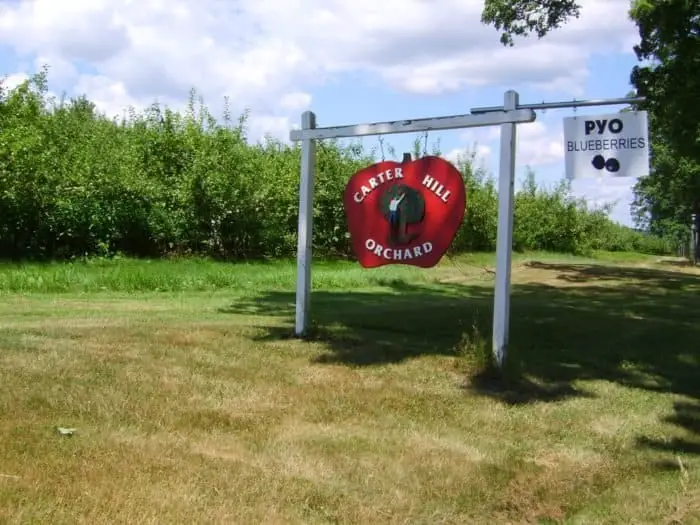 best apple orchards in nh