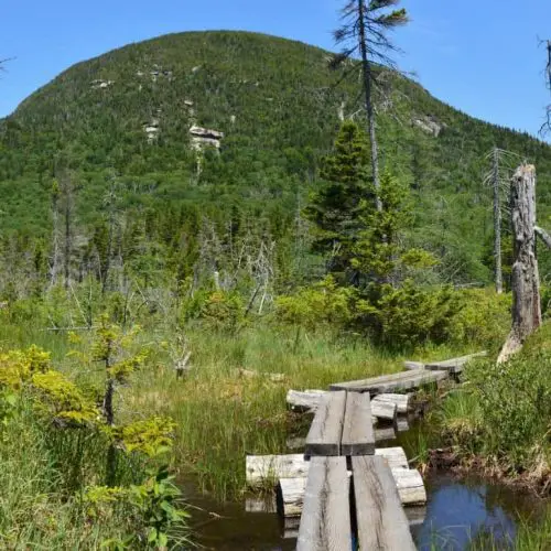 Hiking Cannon Mountain, A New Hampshire Gem