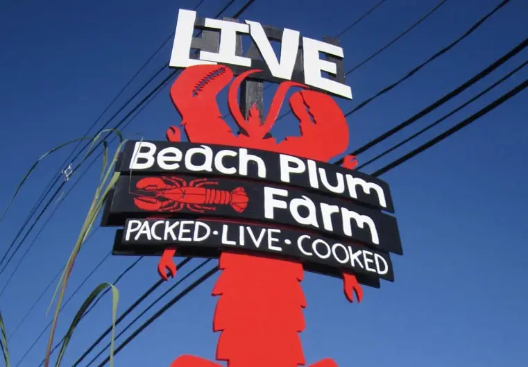 Beach plum portsmouth nh