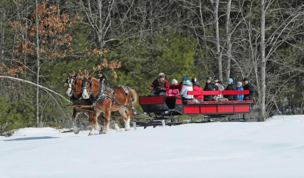 Purity Hill Sleigh Ride