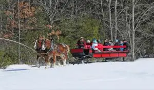 sleigh rides at Purity Hill