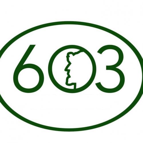 603 Area Code