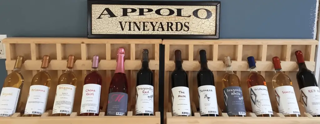 Appolo Vineyards Derry NH