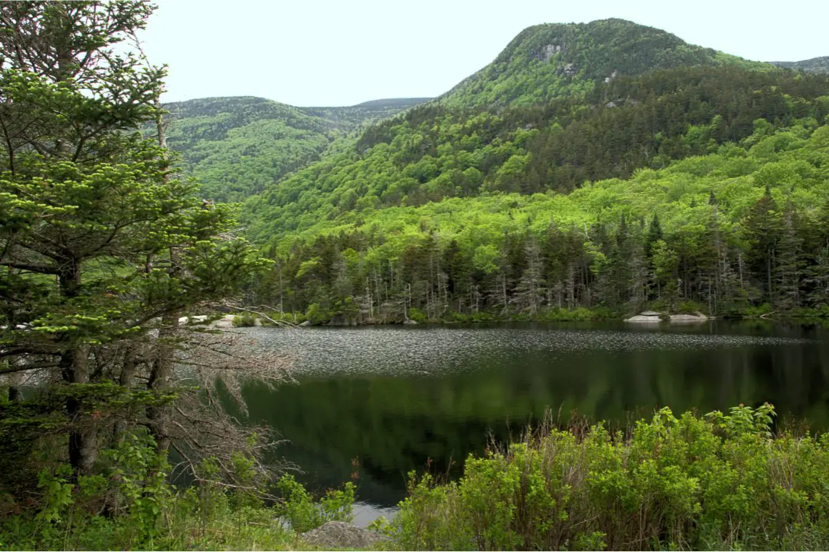 Best Hikes In New Hampshire (1)