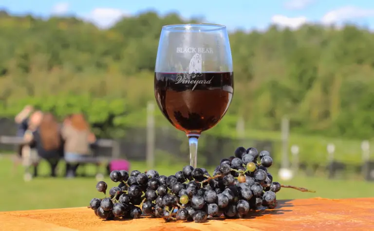 The 18 Best Wineries In New Hampshire - Here In New Hampshire