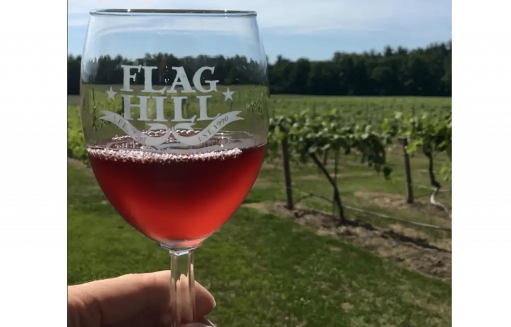 Flag Hill Winery NH