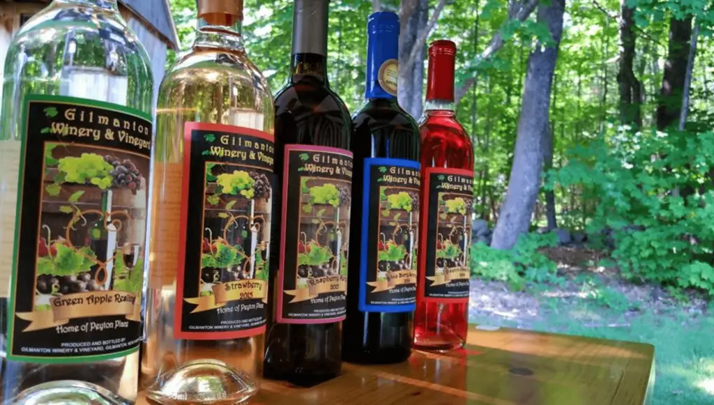 Gilmanton Winery & Vineyard NH