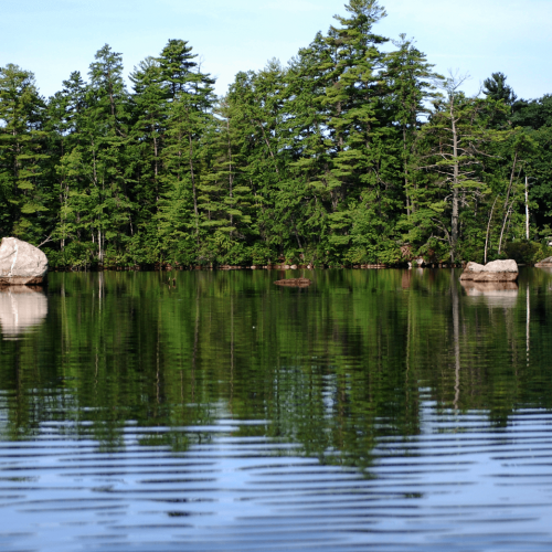 Best Lakes In New Hampshire