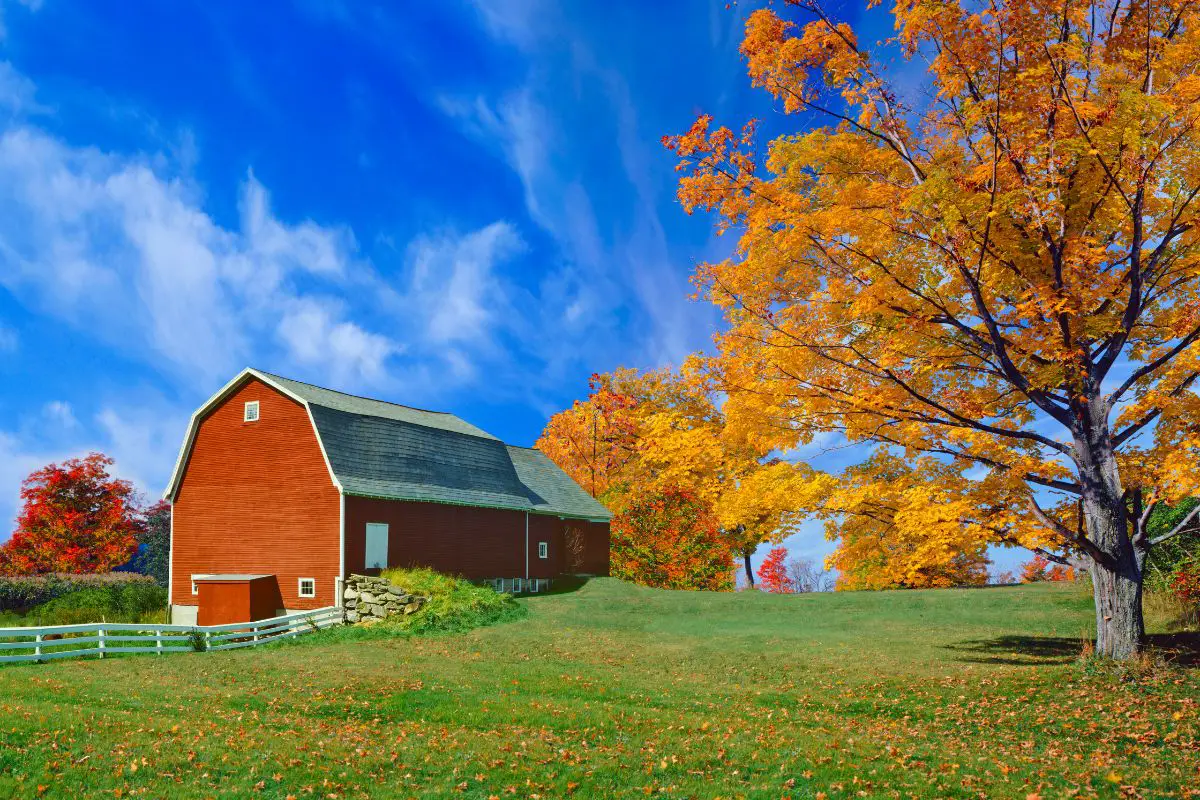 The Best Time to Visit New England for Fall Colors in 2024 – A Journey Through Nature’s Palette