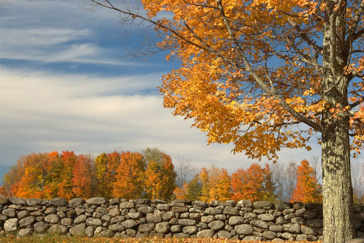 Best-Time-To-See-Fall-Colors-In-New-England-3