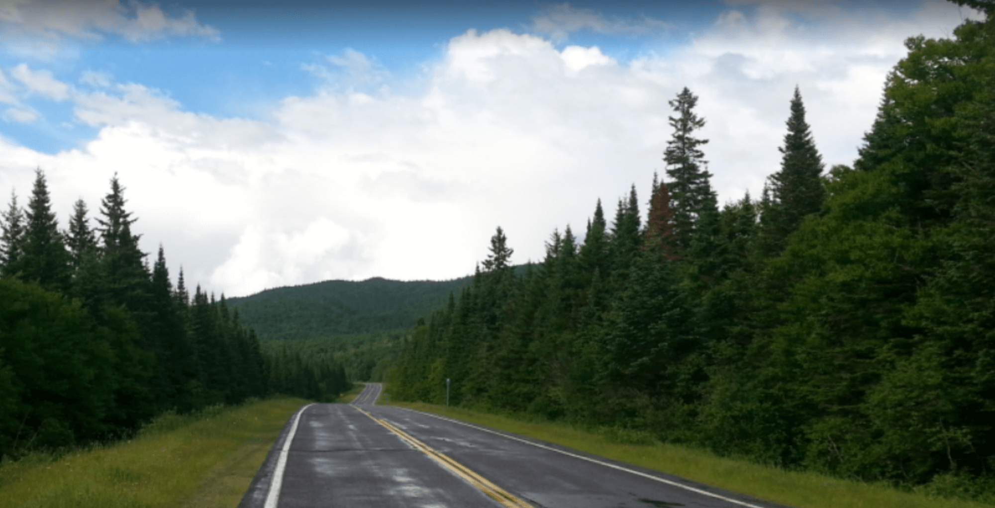 Moose Alley NH The Best Place To See a Moose In New Hampshire Here