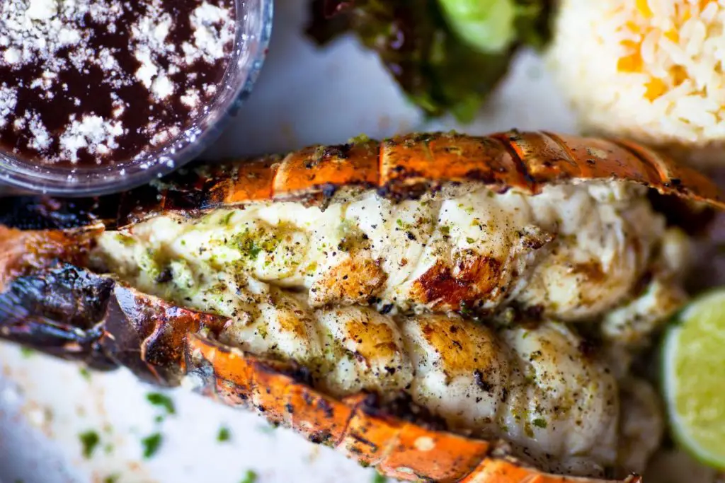 Best Lobster In New Hampshire Here In New Hampshire