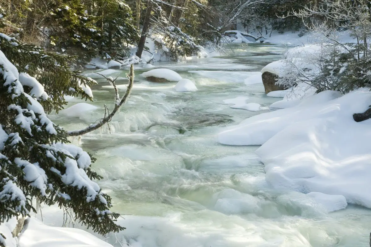 Wild Ammonoosuc River