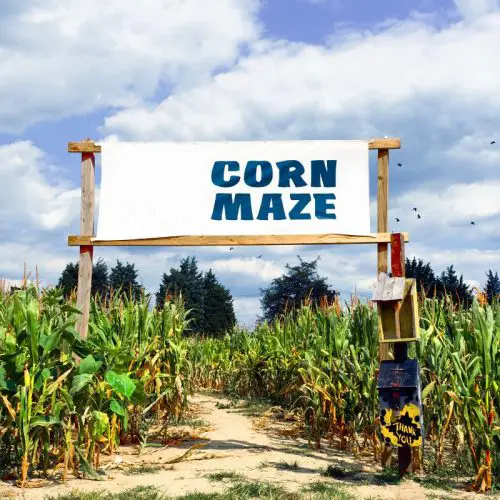 The 5 Best Corn Mazes In New Hampshire